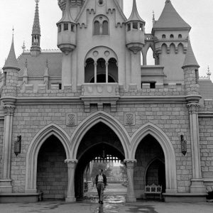 Walt Disney. VCI NYC and Long Island guitar and bass repair